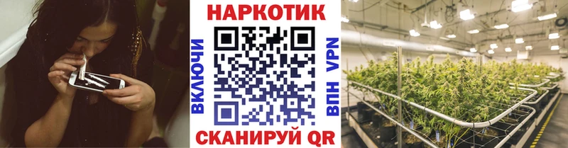Купить закладку Галлюциногенные грибы  Мефедрон  АМФЕТАМИН  Гашиш  Alpha-PVP  МАРИХУАНА  Дубна