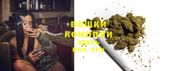 прущие грибы Дмитриев