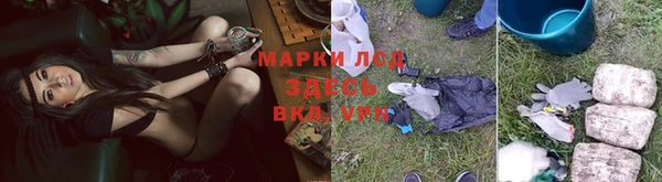 прущие грибы Дмитриев