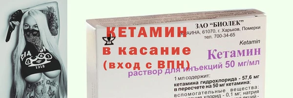 прущие грибы Дмитриев