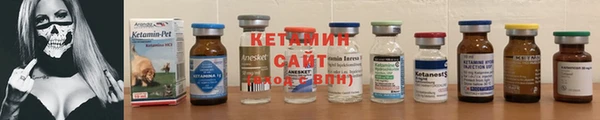 прущие грибы Дмитриев