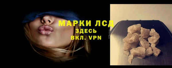 прущие грибы Дмитриев
