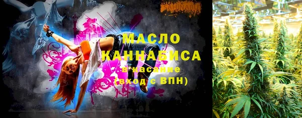 прущие крисы Ельня