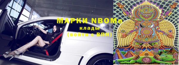 прущие грибы Дмитриев