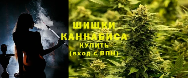 винт Елизово
