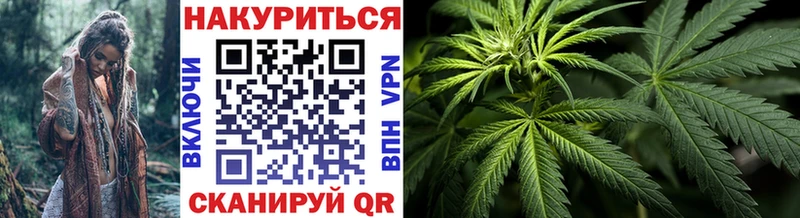 Купить где  Дубна  Конопля гибрид 